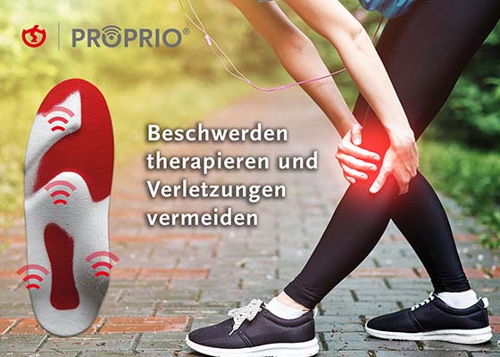 Sensomotorische Einlagen